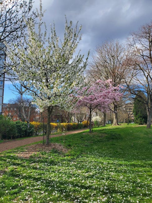 A scenic view of a park in New Southgate showing spring blossom trees with white and pink flowers. The trees are in full bloom, with delicate petals and fresh green leaves, contrasting against a partl