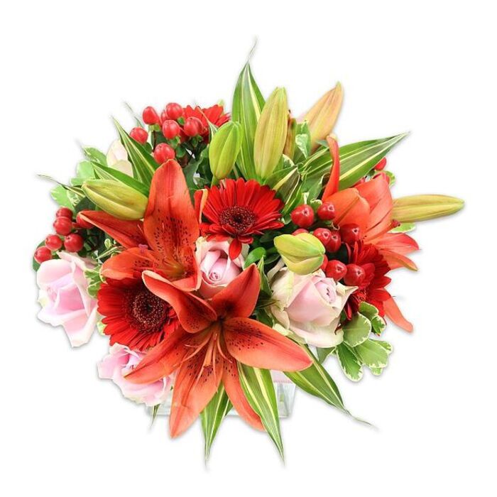 This photograph captures a luxuriant, rounded bouquet set against a flawless white background, a studied interplay of warm reds, oranges and soft pinks arranged with floral craft. The composition is dominated by several large orange-red Asiatic lilies, their petals recurved and sprinkled with darker speckles that lend a wild, natural texture; the prominent stamens add a sculptural, almost botanical detail. Nestled between and beneath are saturated red Gerbera daisies, their many narrow petals forming sunburst discs that deepen the arrangement's visual rhythm. Intermittent pale blush roses offer a gentle, romantic foil - some roses are tightly furled buds, others gently opening to reveal layered, velvety cups. Glossy clusters of red hypericum berries punctuate the bouquet, catching studio light like small polished beads and contributing a lively, tactile counterpoint to the petals. The greenery is generous and layered: broad green leaves provide a solid, verdant backdrop while narrower lily foliage and a few variegated leaves with lighter streaks add brightness and depth. A few unopened lily buds remain visible at the edges, suggesting continued bloom and longevity. The lighting is soft and even, emphasizing surface qualities - the satin sheen on rose petals, the papery lily texture and the waxy finish of the berries - so the bouquet reads as both fresh and abundant. As a local florist familiar with New Southgate and surrounding Friern Barnet, I picture this arrangement brightening a mantelpiece, celebrating an anniversary, or sent as a thoughtful surprise to someone who loves vivid, textural flowers and considered design.