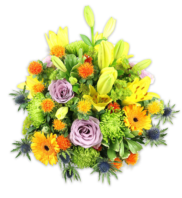 A lush, densely packed floral composition presented against a stark white field, its warm colour story anchored in sunny yellows and vivid oranges softened by lilac roses and cooling blue-grey thistles. Prominent yellow Asiatic lilies rise through the centre, some gloriously open with speckled interiors and graceful stamens, others as elongated buds that give the design an upward gesture and a sense of unfolding promise. Set among them are bold orange Gerbera daisies, their flat ray-like petals framing darker centres, which contrast with clusters of smaller spherical orange and golden-yellow accent blooms that add playful texture and pockets of concentrated colour. Soft lavender-purple roses provide a tender, romantic counterpoint, their velvety spirals calming the palette, while bright chartreuse-green button chrysanthemums create ruffled, tactile mounds that fill the silhouette and contribute to the bouquet's volumetric richness. Blue sea thistles (Eryngium) appear around the lower and outer edges, their star-like, spiky bracts cutting a cool, architectural line against the softer shapes. The foliage selection - long lilies' blades, rounded glossy leaves, and delicate filler sprigs - supplies depth, frames the colours, and suggests a freshly gathered, just-delivered quality. Imagined light is soft and diffuse, like morning spilling through a kitchen window by the high street in Friern Barnet, picking out petal veins and the subtle sheen of leaves. This arrangement communicates celebration, comfort and thoughtful care, serving equally well as a vibrant centerpiece for a family gathering or a warm, uplifting gift to brighten a neighbour's day.