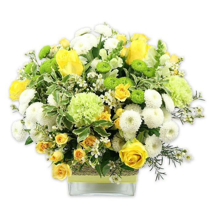 A spacious, dome-shaped floral arrangement in a crystal-clear, square glass vase captures the essence of fresh spring colour, blending sunny yellow, lively lime green, and crisp white blooms in a composition that feels at home on a New Southgate dining table overlooking Bounds Green Road. At the heart of the piece sit several yellow roses, their petals richly layered and velvety, some fully open in generous spirals, others partially closed, holding a sense of quiet anticipation. Around them, smaller clusters of yellow spray roses thread through the bouquet, offering petite bursts of colour that echo the warmth of late afternoon light. Intermingled with the roses are numerous white pompom chrysanthemums, each densely packed with petals, forming firm, rounded heads that add both fullness and softness. Bright lime green button chrysanthemums dot the arrangement like tiny, polished marbles, providing a playful contrast in both colour and shape. Larger pale-green blooms, ruffled and textured like frilly carnations or decorative green mums, weave through the design, gently bridging the yellows and whites while emphasizing the fresh, garden-like feel. The entire bouquet is supported by abundant greenery: broad, variegated leaves edged with creamy white, darker glossy leaves that anchor the palette, and fine sprigs of filler foliage that create light, airy trails between blossoms. Small white, star-like filler flowers shimmer throughout, enhancing the intricate layers and giving the impression of delicate confetti. The square glass vase is cinched at the midline with a rustic band of woven natural fibre or bark, over which a lime-green ribbon is carefully tied, adding both texture and a handcrafted touch that reflects the care of an experienced local florist. Presented against a bright white backdrop, this arrangement radiates vitality, joy, and thoughtful celebration, perfect for birthdays, thank-you gifts, or simply bringing a burst of colour into a New Southgate home.