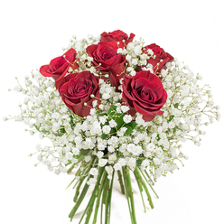 This exquisite bouquet, elegantly arranged by a skilled florist serving the New Southgate community, is a study in romantic contrasts and graceful design. Centred around six lush, deeply saturated red roses, each bloom is caught at the height of vitality, petals unfolding in rich spirals that seem to glow against the pure white background. The intensity of these crimson roses-reminiscent of the vibrant floral displays seen along Station Road and near local cafés-finds its balance in a gentle encirclement of baby's breath. The gypsophila, with its myriad tiny blossoms, resembles a cloud of white mist, wrapping softly around the roses and adding an ethereal, almost poetic air. Long, slender green stems are visible and artfully bundled, a nod to freshness and the careful hand-tying techniques honed in New Southgate's neighbourhood flower shops. The bouquet's composition is refined yet full, the vivid reds and delicate whites dancing together in visual harmony. It exudes the quiet joy of special occasions, ideal for expressing intimate sentiments-love, congratulations, or gratitude-whether delivered to a doorstep near Friern Barnet or brought home as a surprise. The arrangement's timeless beauty, combined with local flair, makes it a lasting symbol of affection and a vibrant gesture for any celebration in New Southgate.