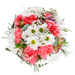 Brimming with the fresh radiance of spring, this expertly crafted bouquet from a New Southgate florist captures a spirit of joy and renewal. Central to the arrangement, white daisies with golden-green eyes beam among clusters of plush coral-pink carnations, their soft, ruffled petals deepening the textural appeal and adding a gentle, cheerful vibrancy. Wisps of baby's breath meander lightly throughout, their tiny blooms sparkling like morning dew along the paths in Oakleigh Park. Hints of blush-tinted alstroemeria buds and diverse foliage-including the soft blue-green of eucalyptus leaves-peek from between the larger blossoms, infusing the arrangement with both fragrance and color harmony. The circular shape of the bouquet is both tranquil and exuberant, a reflection of the devoted craftsmanship and attention to detail characteristic of New Southgate's passionate florists. Perfect for marking special moments-such as sending thoughtful birthday wishes, sharing congratulations, or simply brightening a home on a Moffat Road afternoon-this bouquet is an uplifting expression of appreciation, expertly composed for delivery to your loved ones across the local neighbourhood.